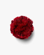 The Red Carnation
