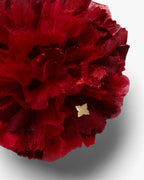 The Red Carnation