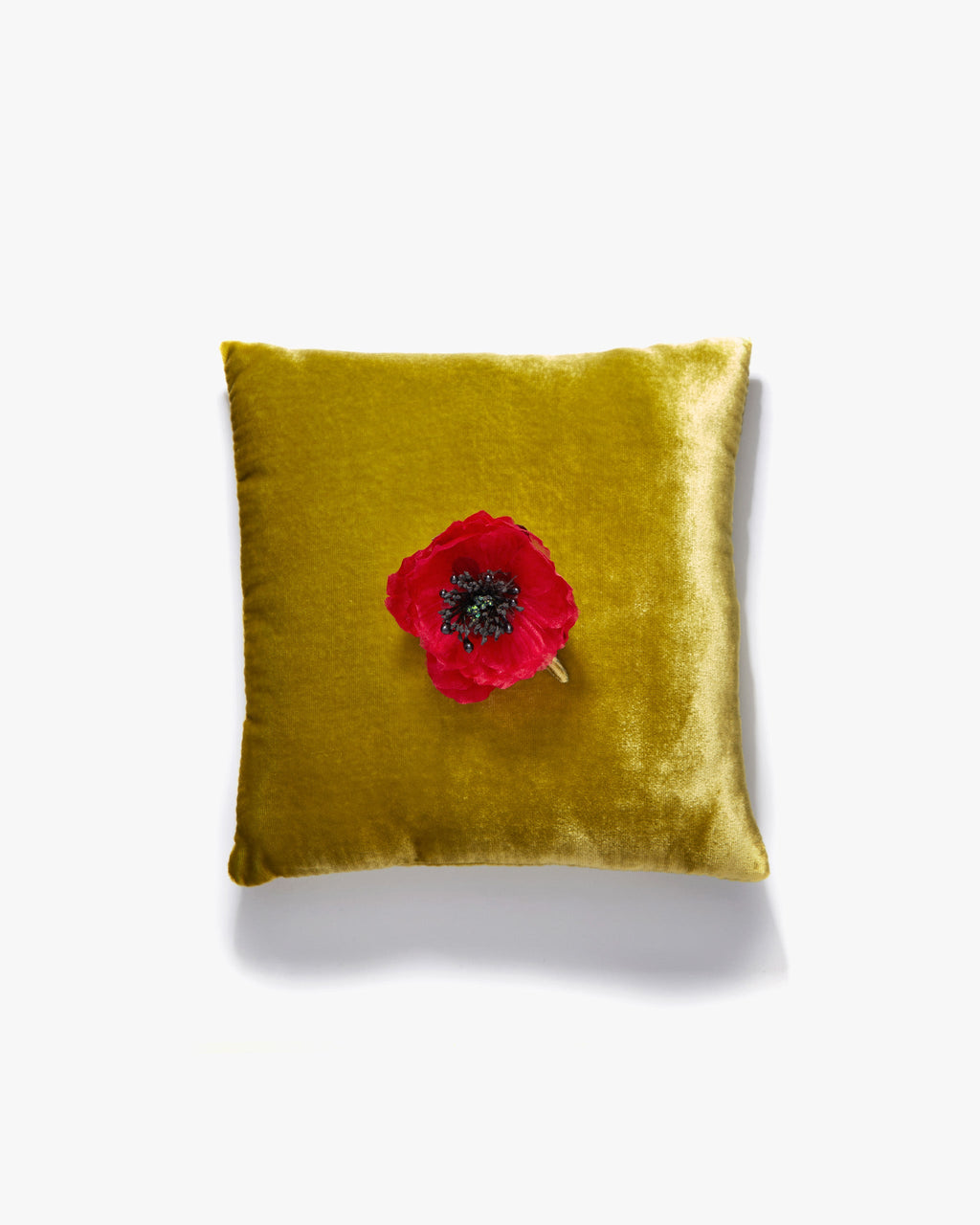 The Red Poppy