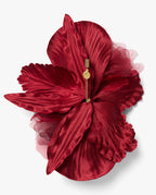 The Scarlet Orchid