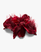 The Scarlet Orchid