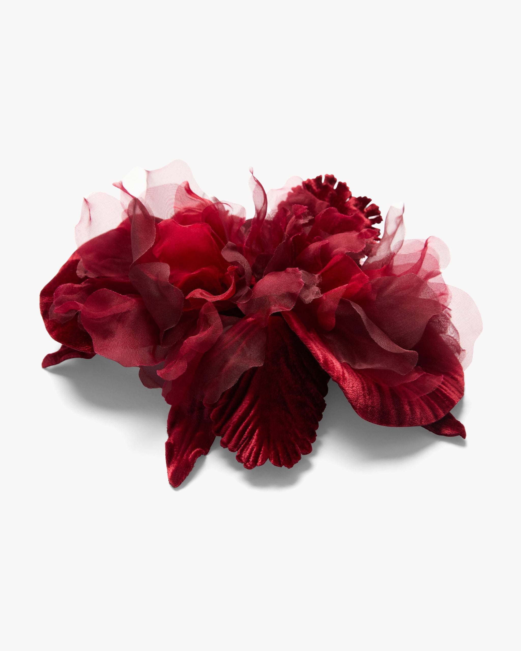 The Scarlet Orchid