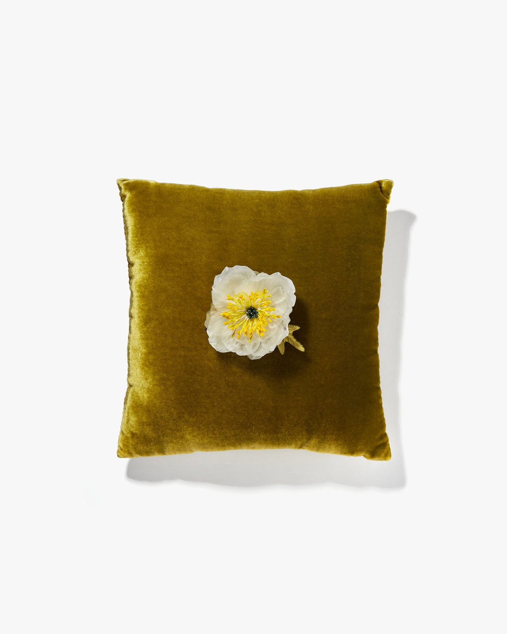 The White Poppy