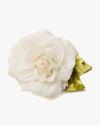 The White Rose