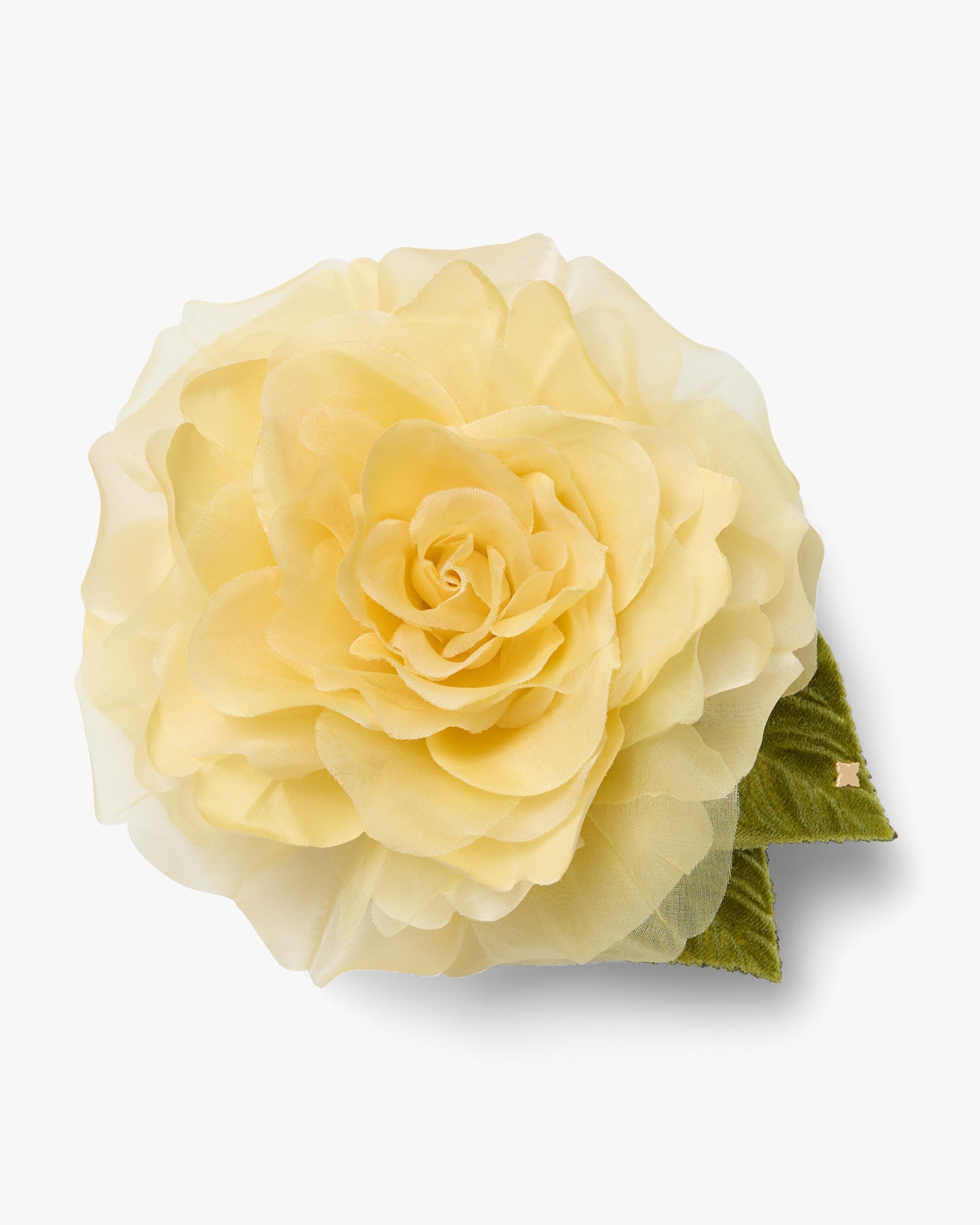 The Yellow Rose