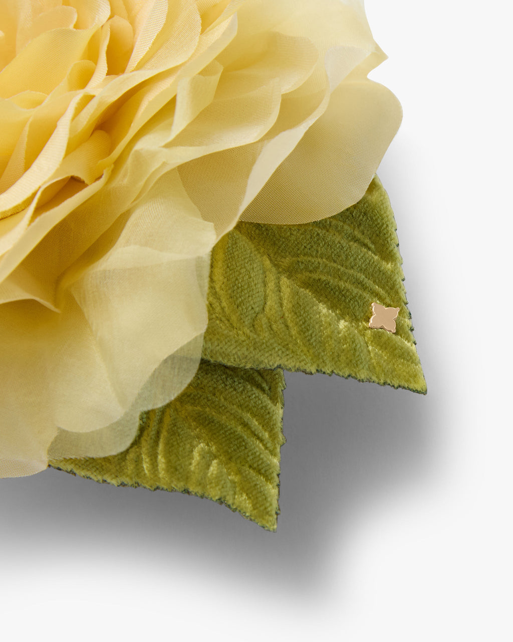 The Yellow Rose