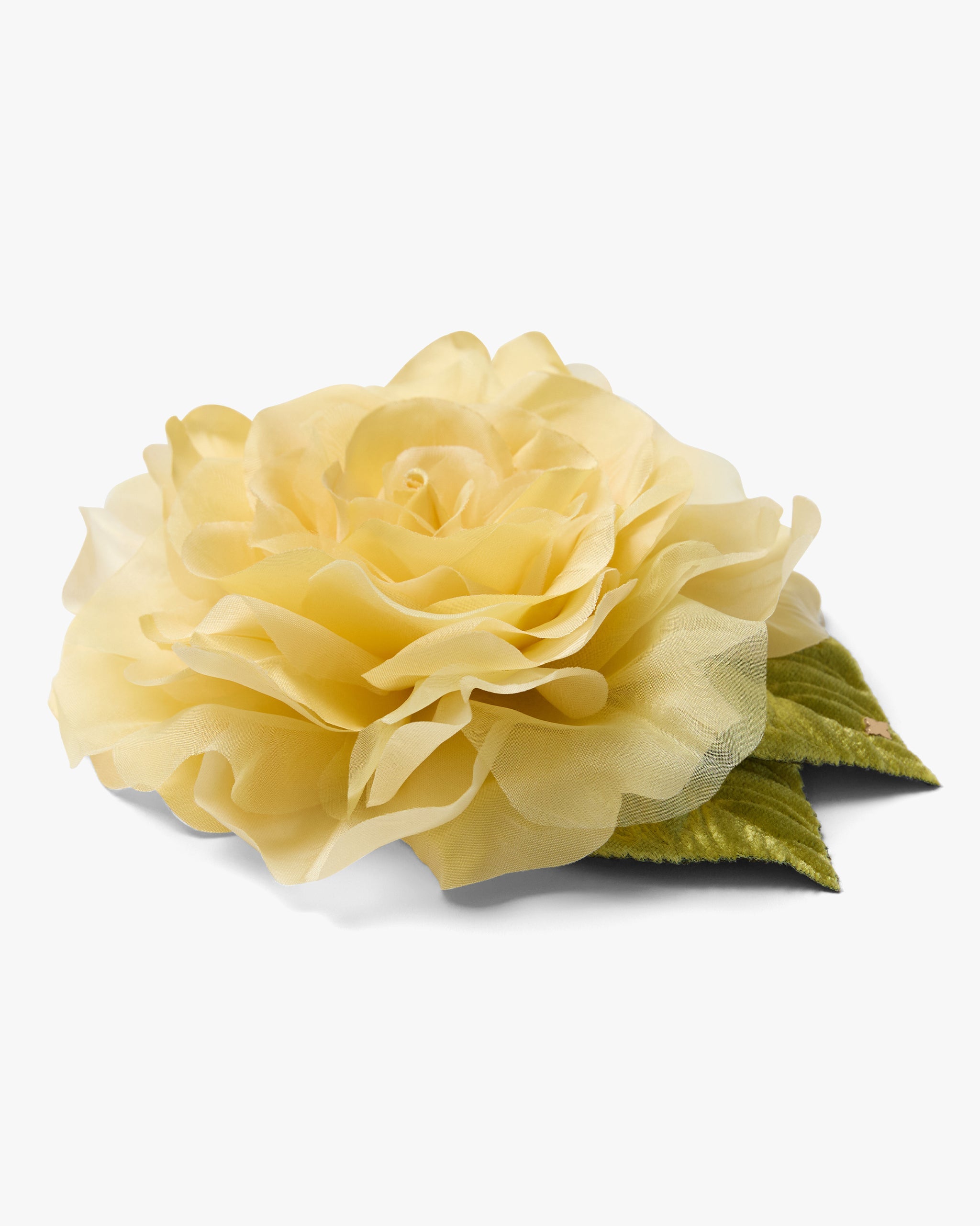 The Yellow Rose