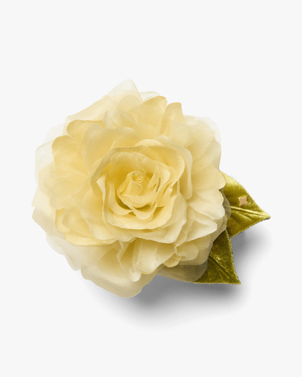 The Yellow Rose