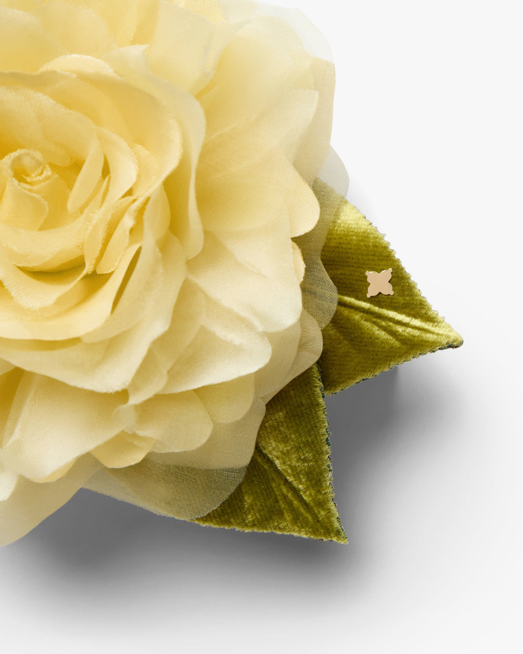 The Yellow Rose