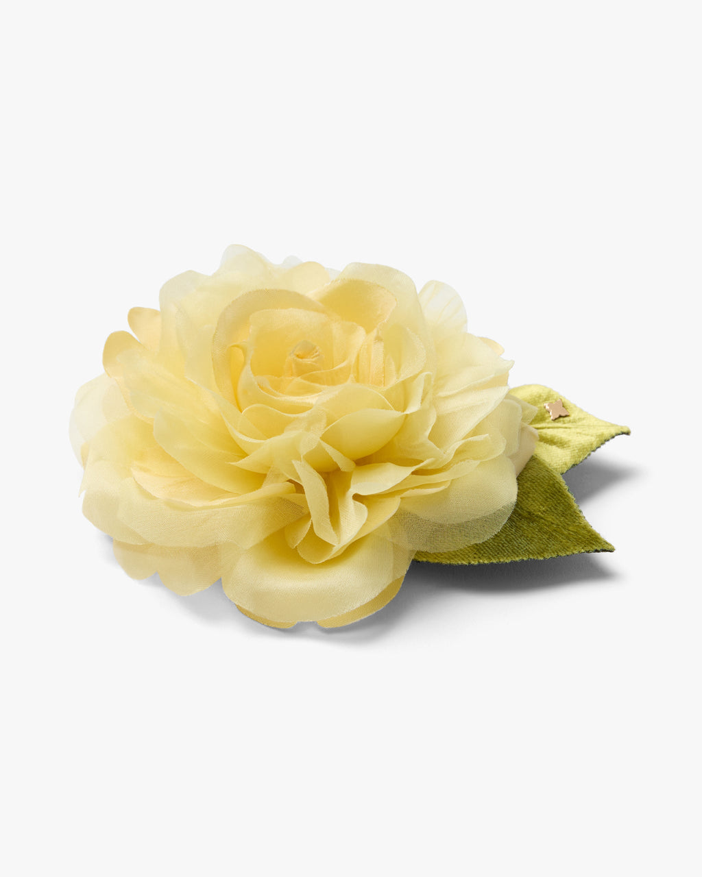 The Yellow Rose