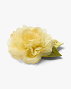 The Yellow Rose