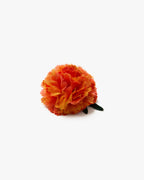 The Marigold