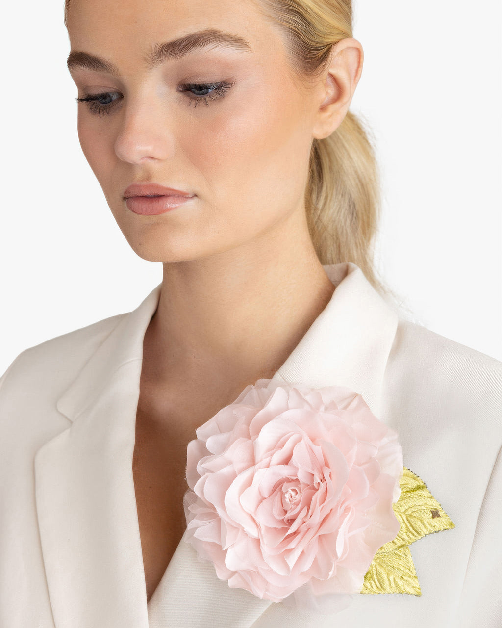 The Pale Pink Rose