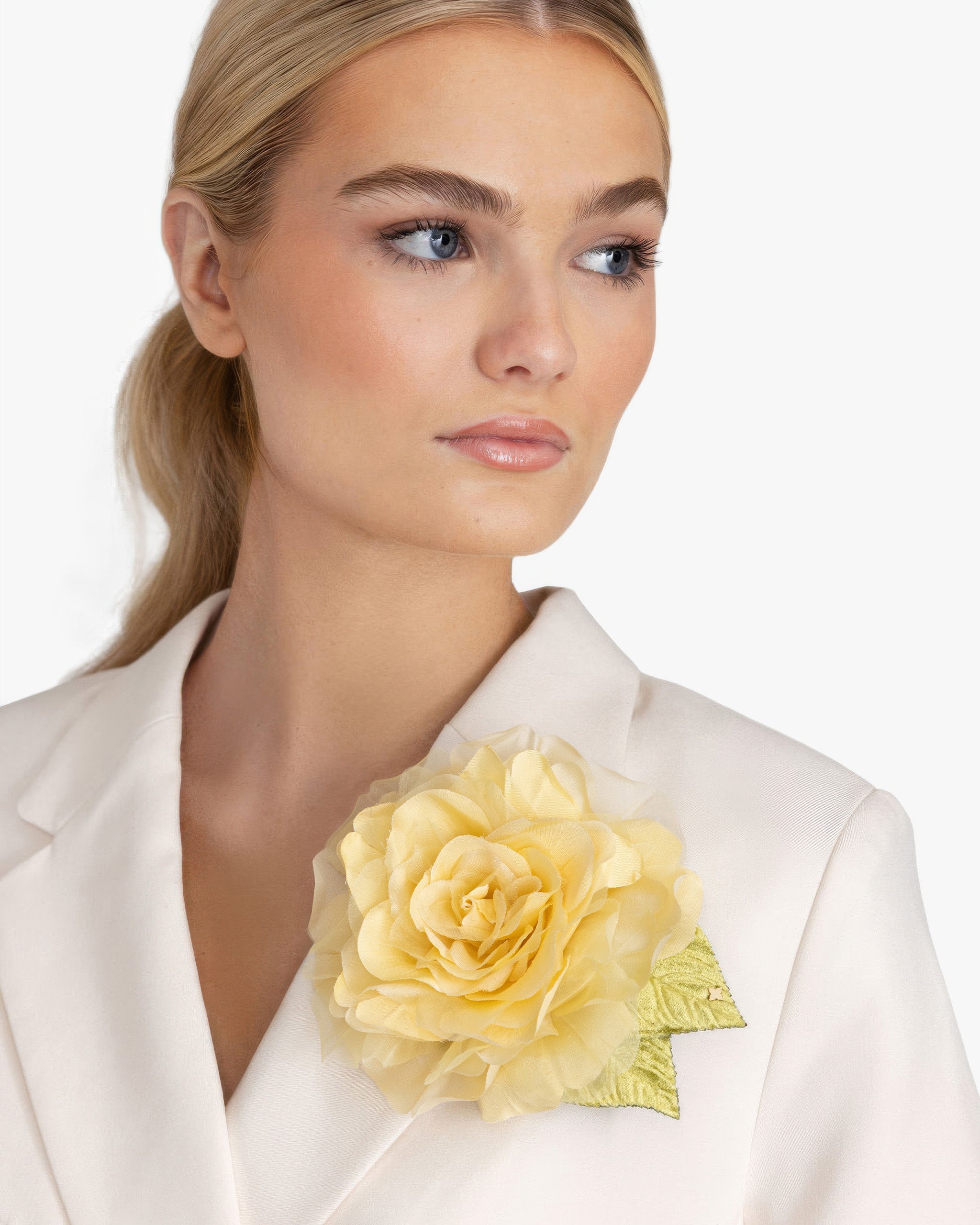 The Yellow Rose