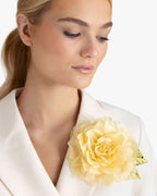 The Yellow Rose