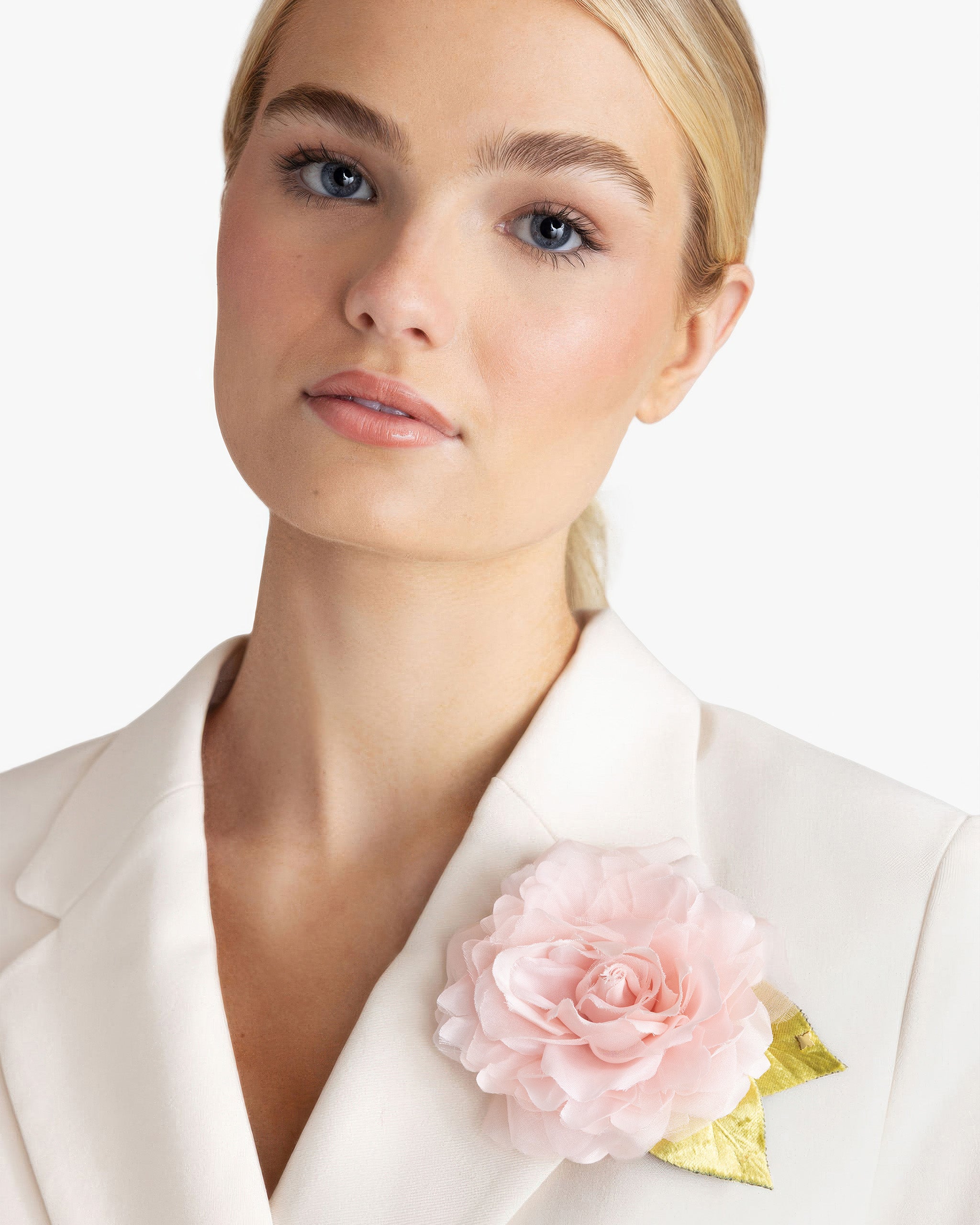 The Pale Pink Rose