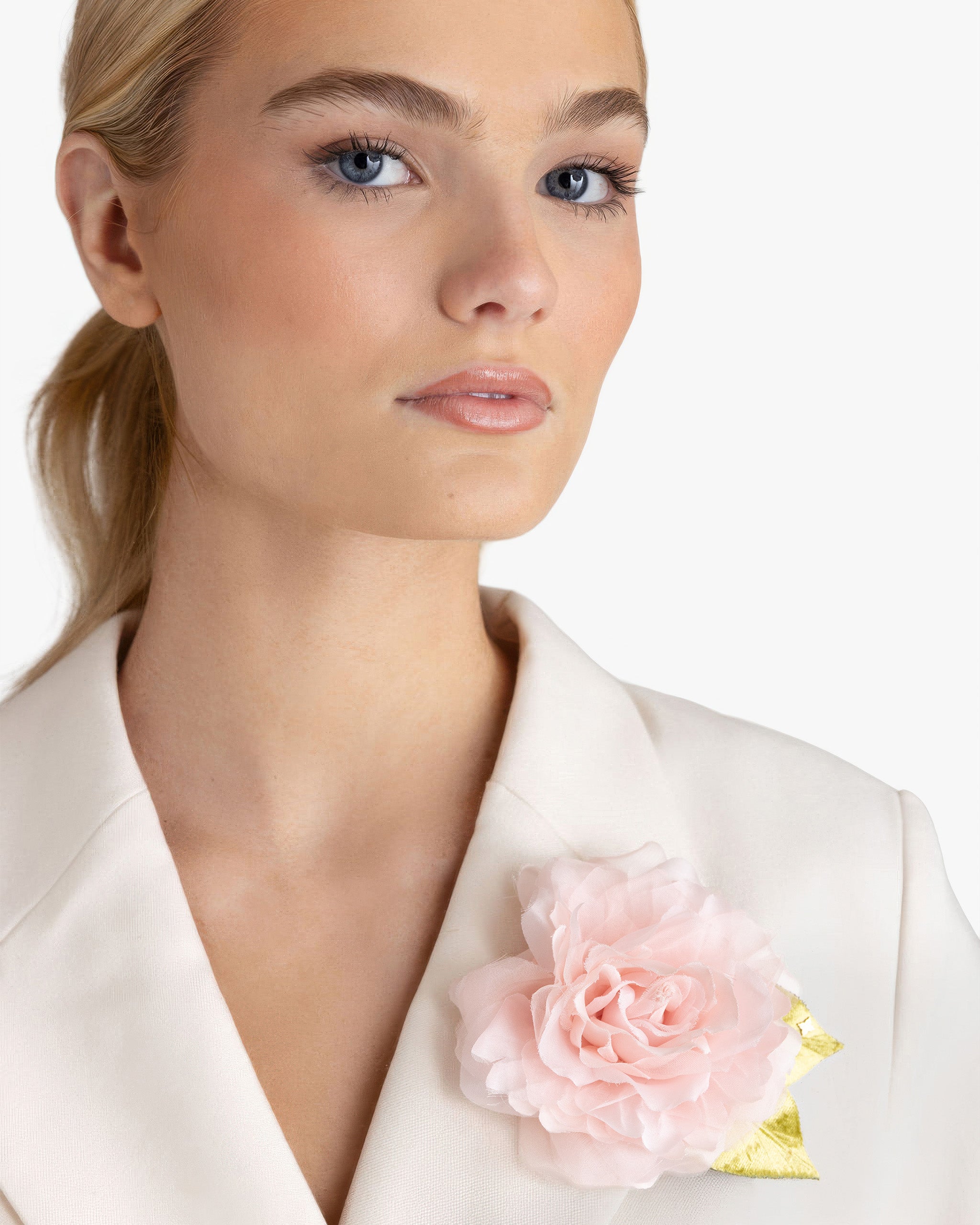 The Pale Pink Rose