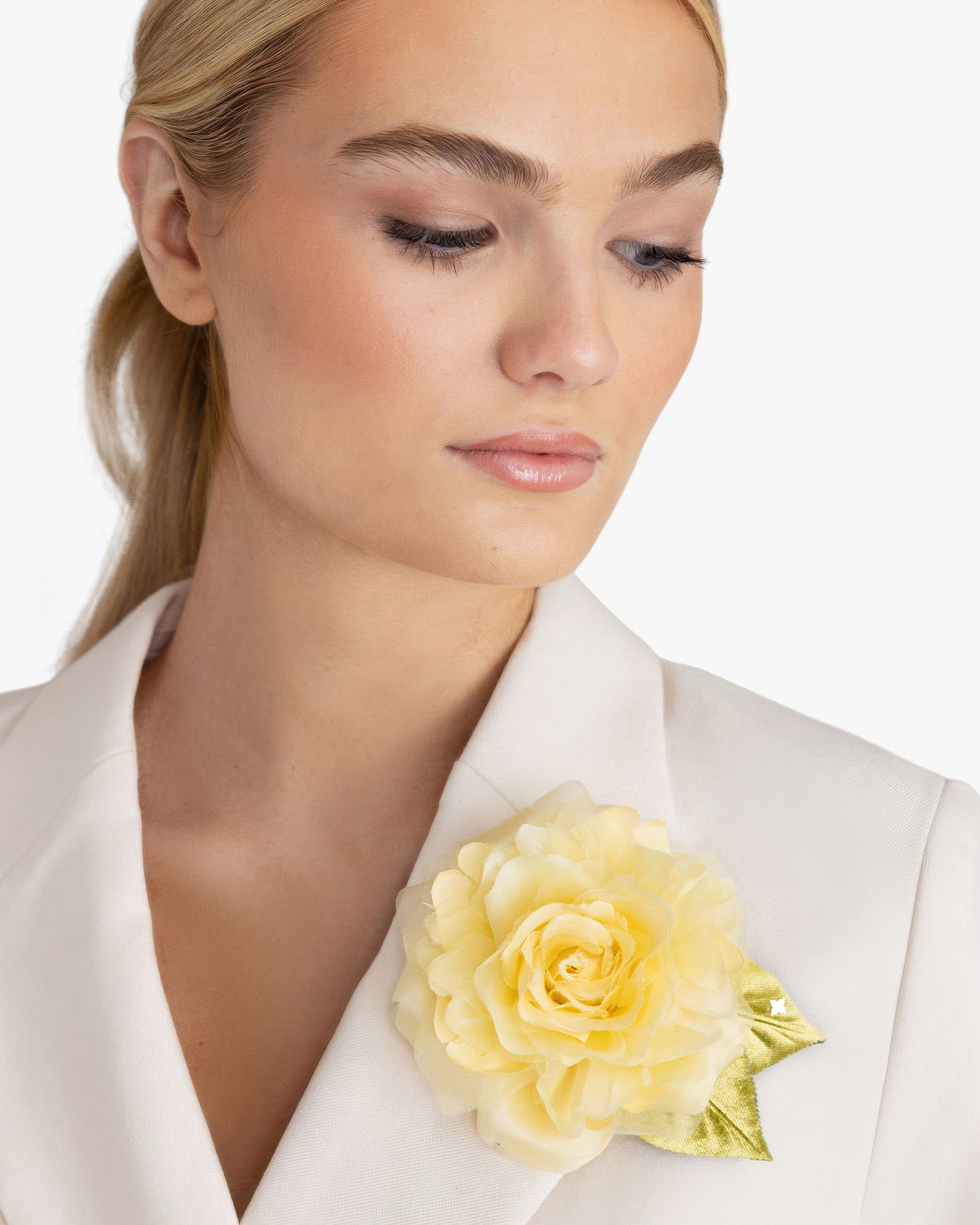 The Yellow Rose