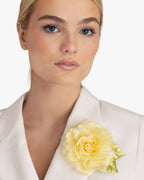 The Yellow Rose