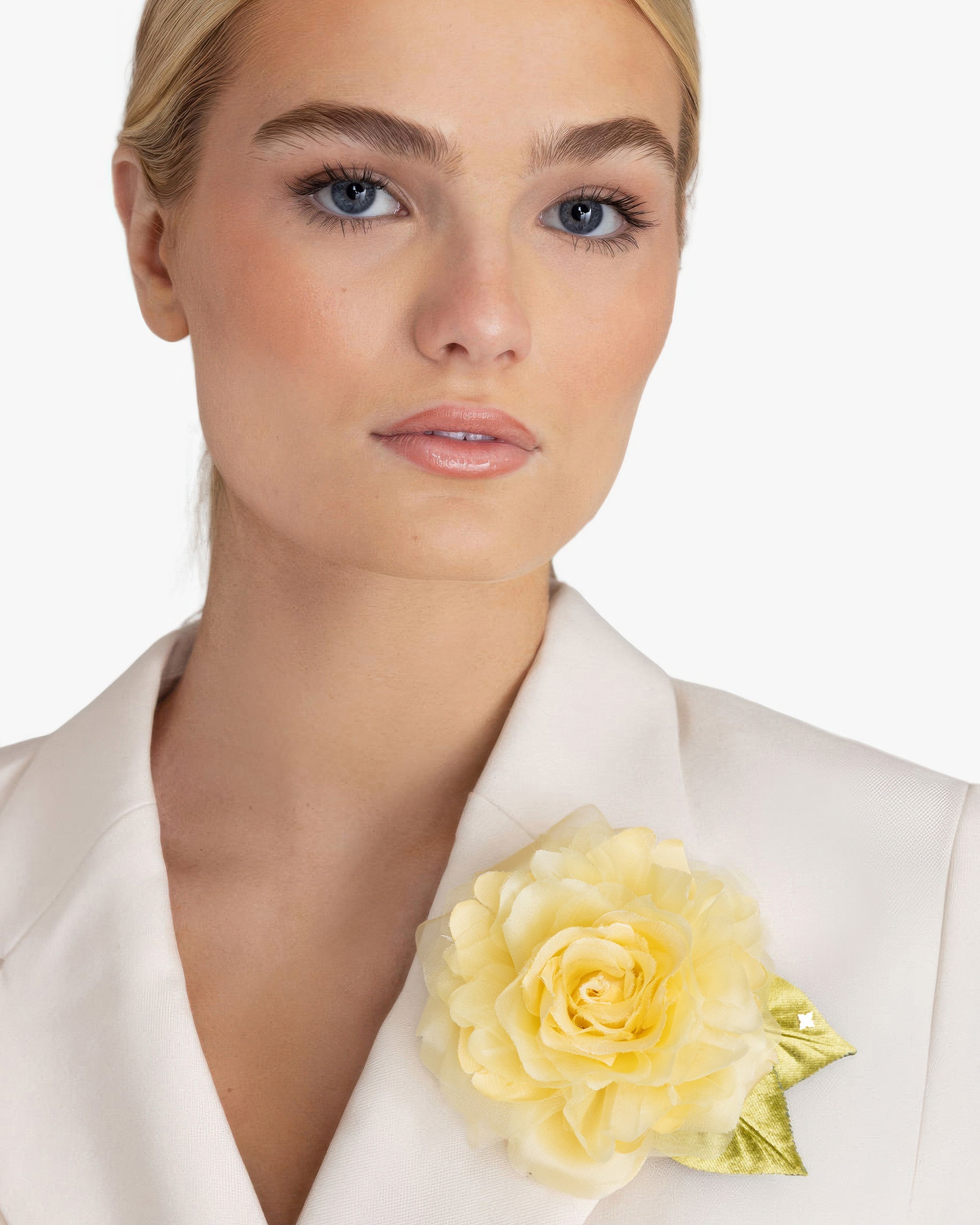 The Yellow Rose