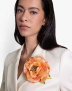 The Peach Open Rose