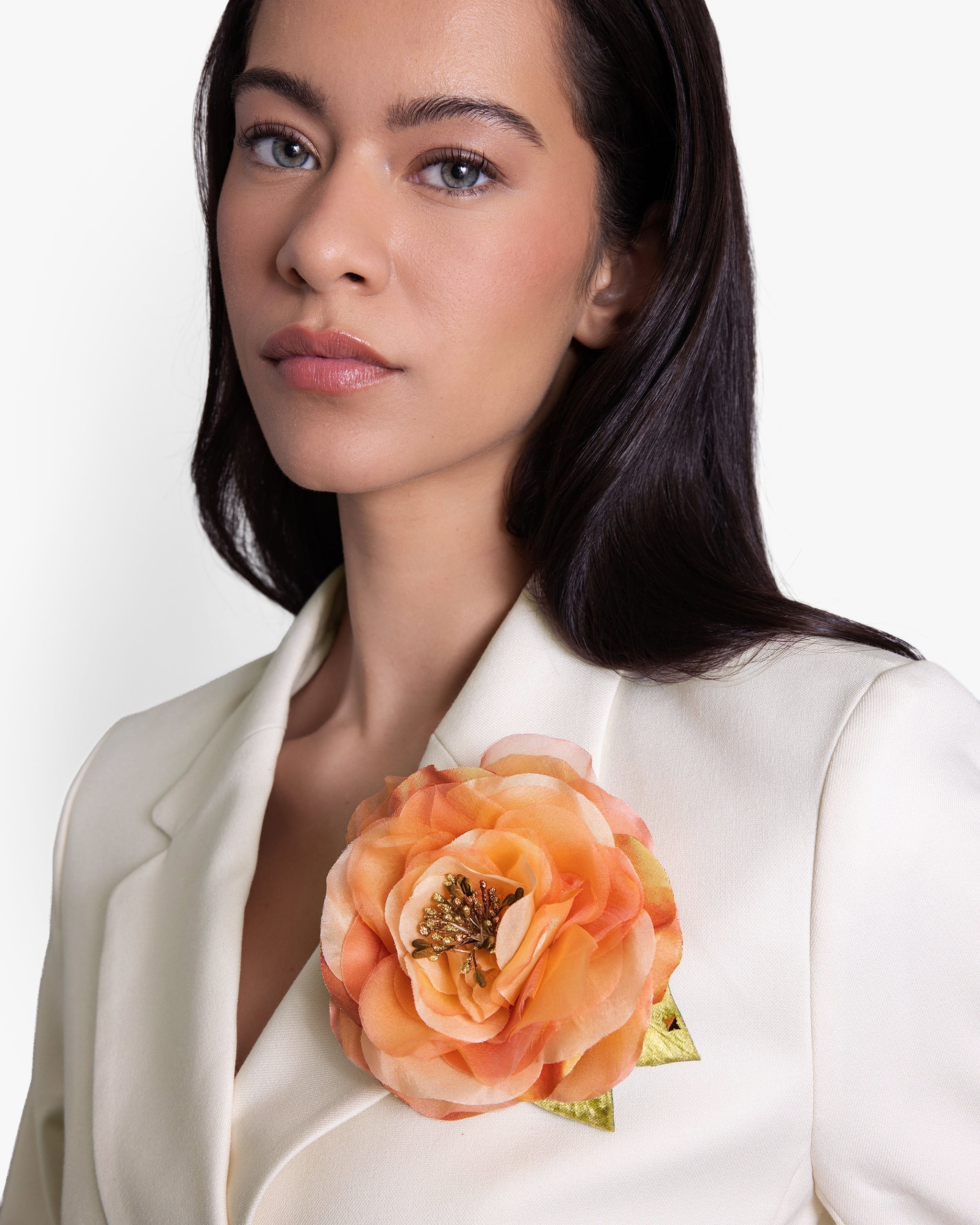 The Peach Open Rose