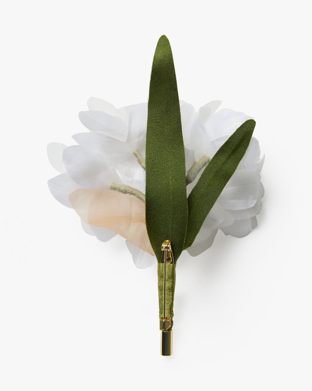 The Paperwhite Narcissus