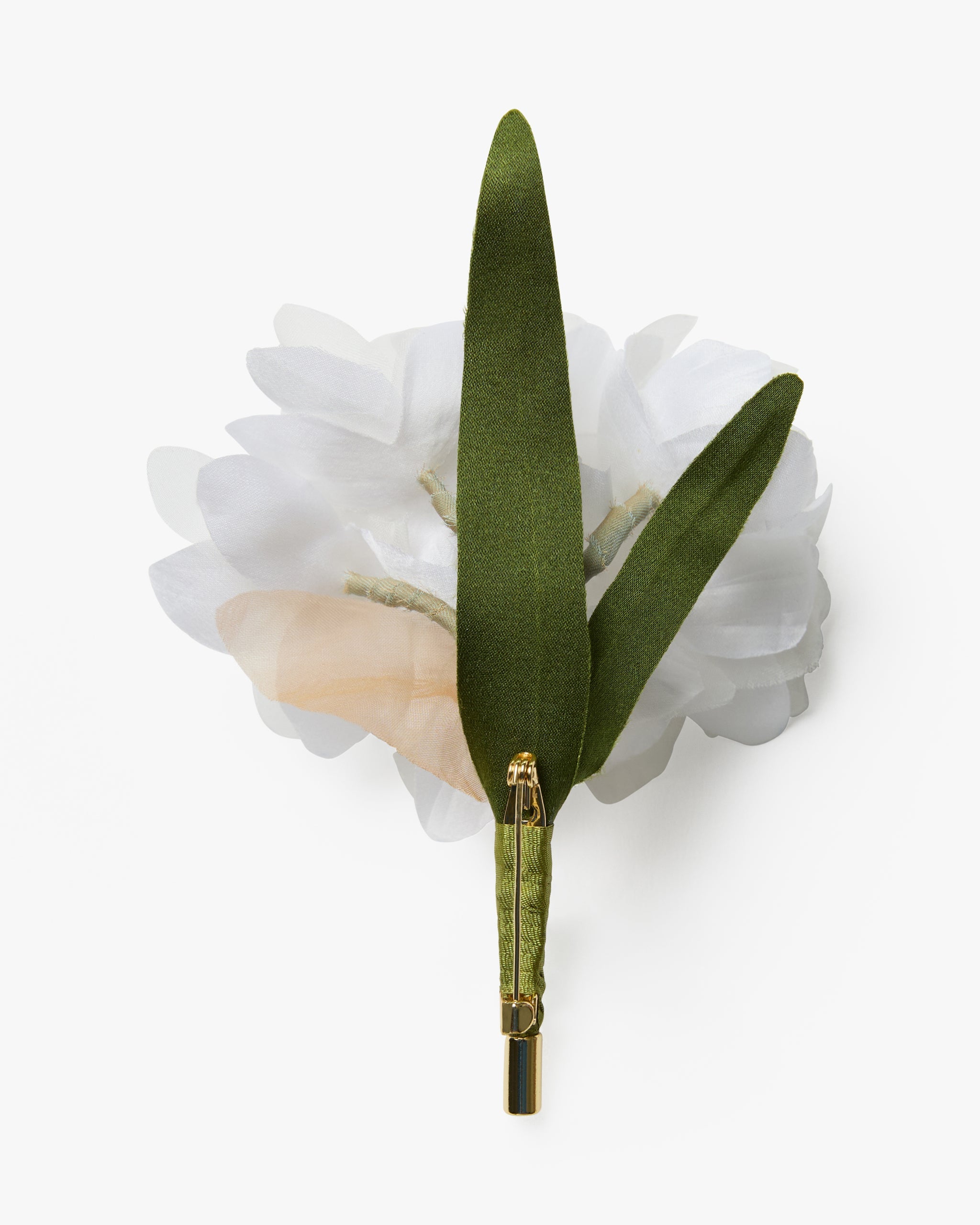 The Paperwhite Narcissus