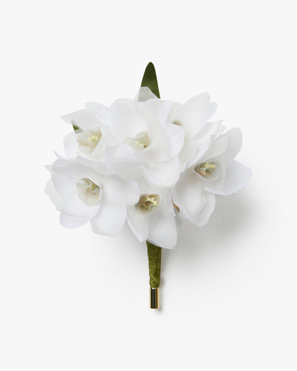 The Paperwhite Narcissus