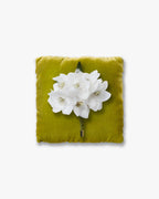 The Paperwhite Narcissus