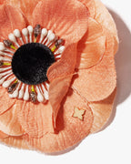 The Peach Anemone