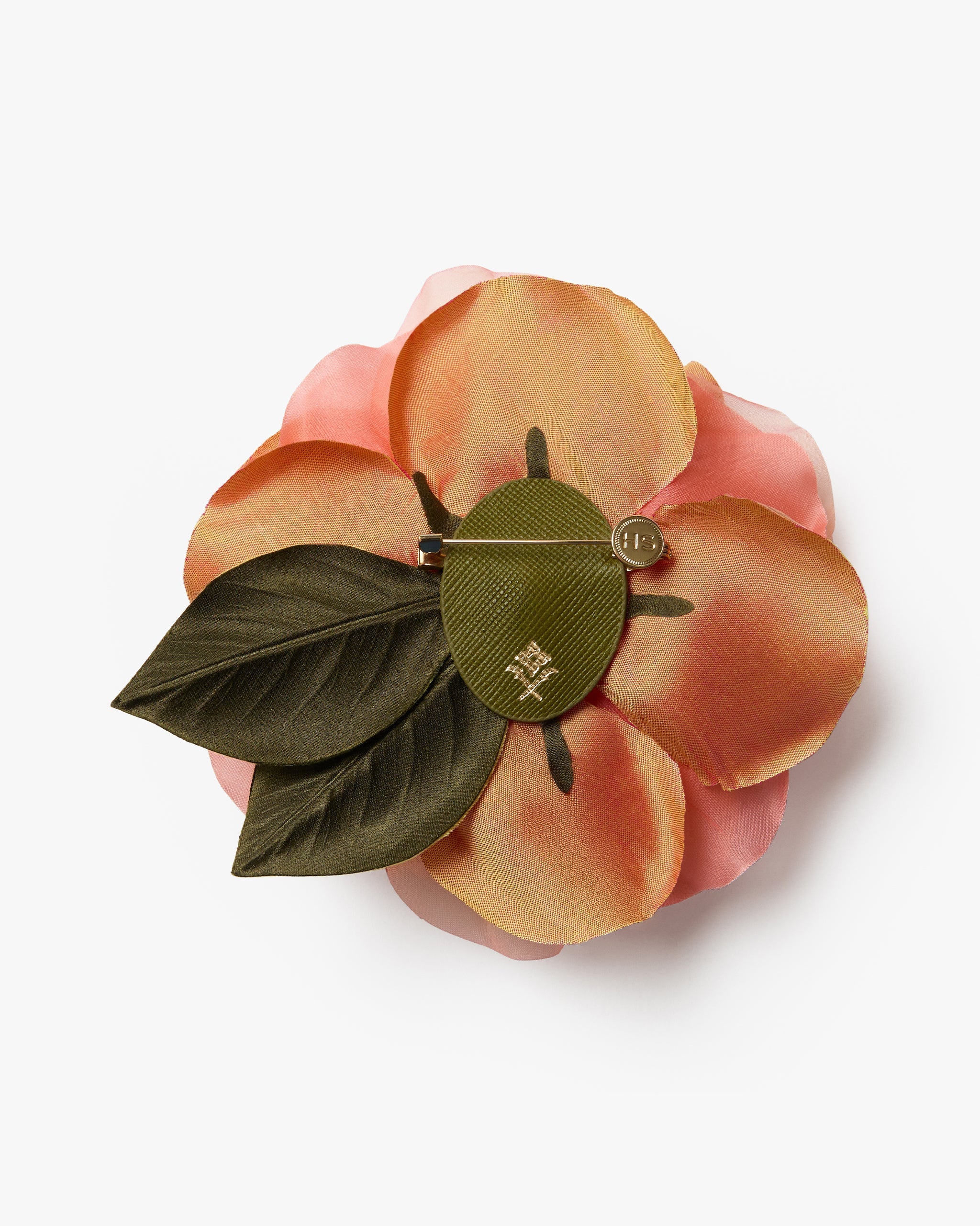 The Peach Open Rose