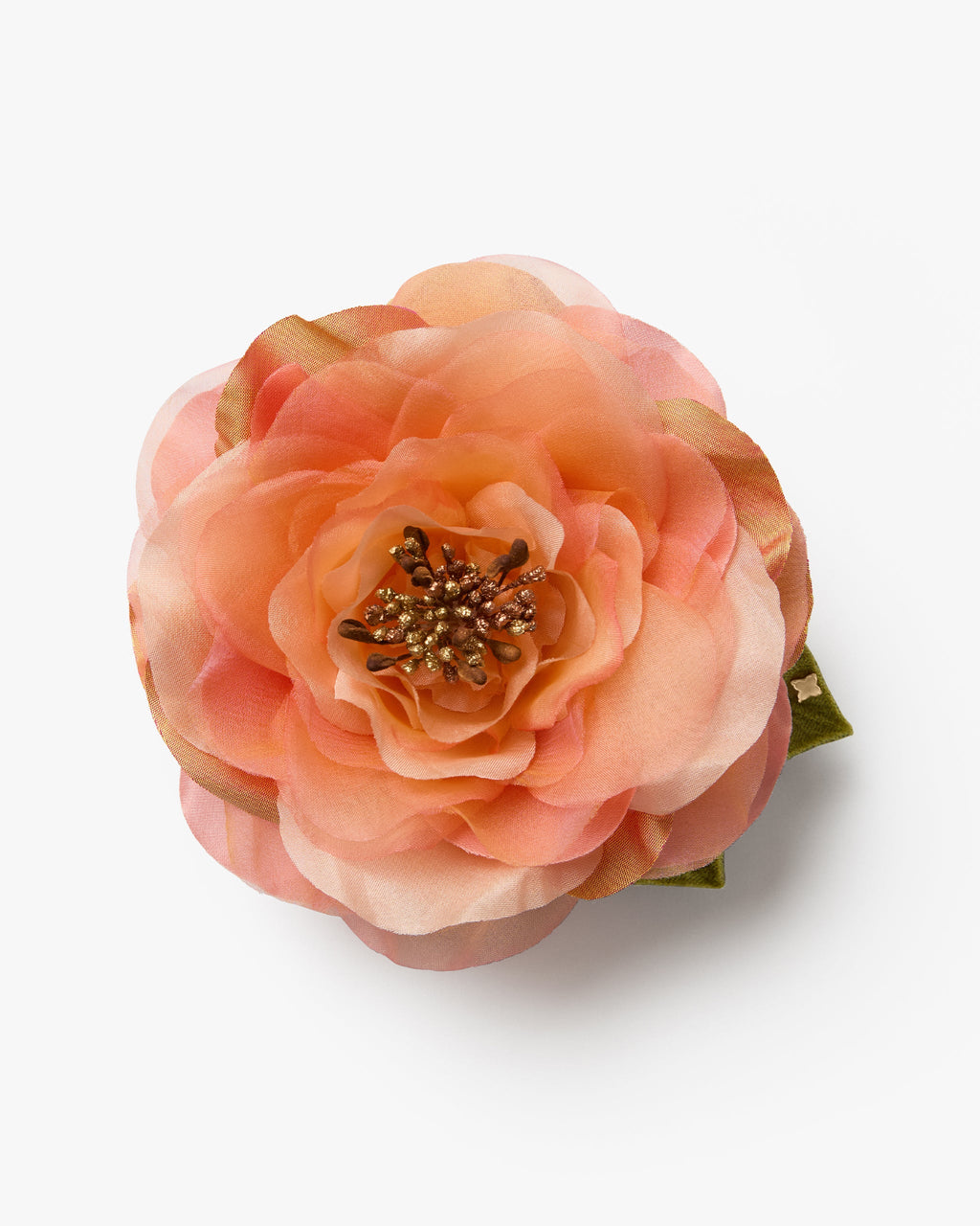 The Peach Open Rose
