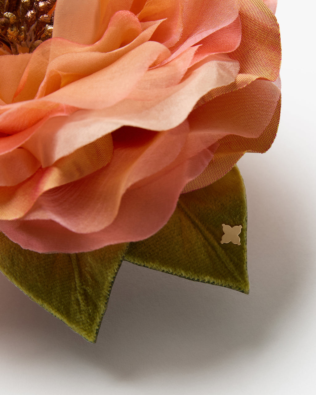 The Peach Open Rose