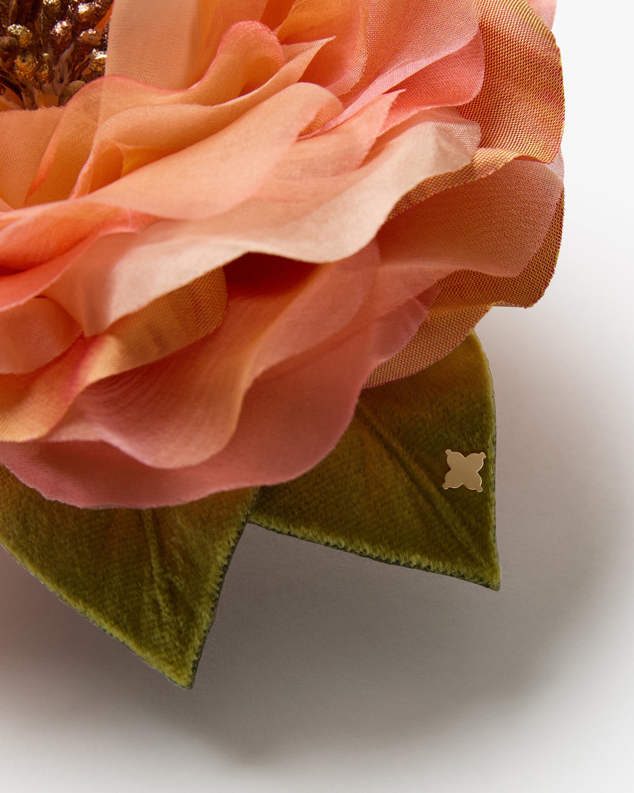 The Peach Open Rose