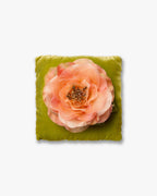 The Peach Open Rose