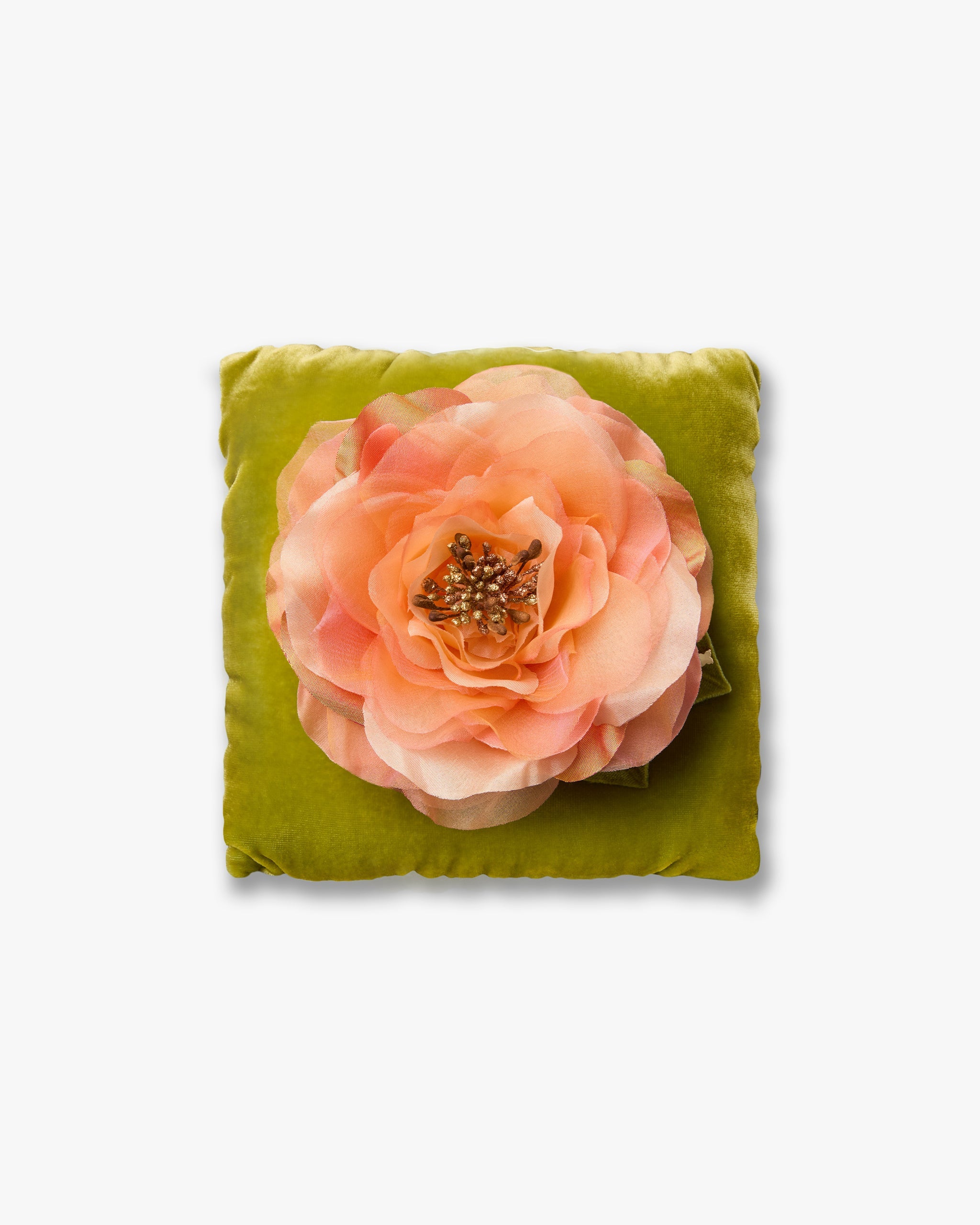 The Peach Open Rose
