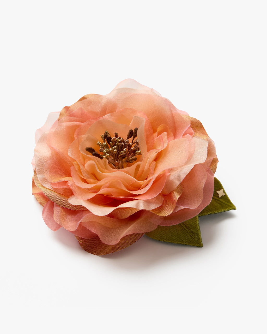 The Peach Open Rose
