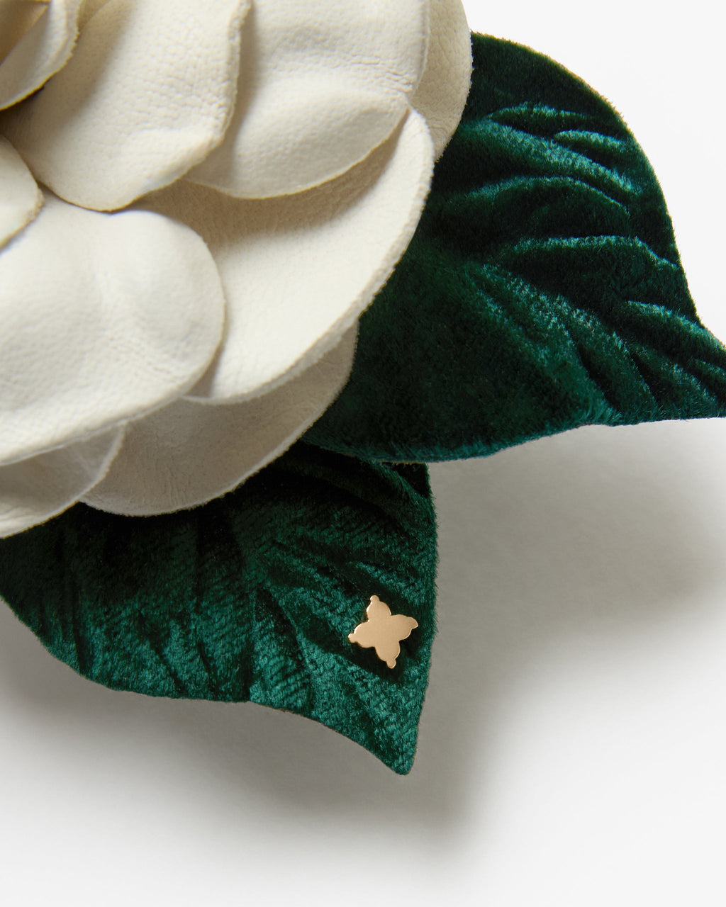 The White Gardenia